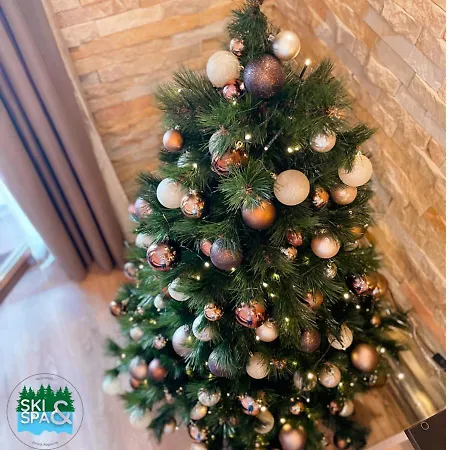 & In Zoned Apartment *