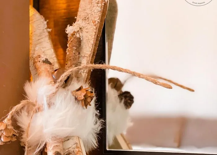 & In Zoned Κοπαόνικ