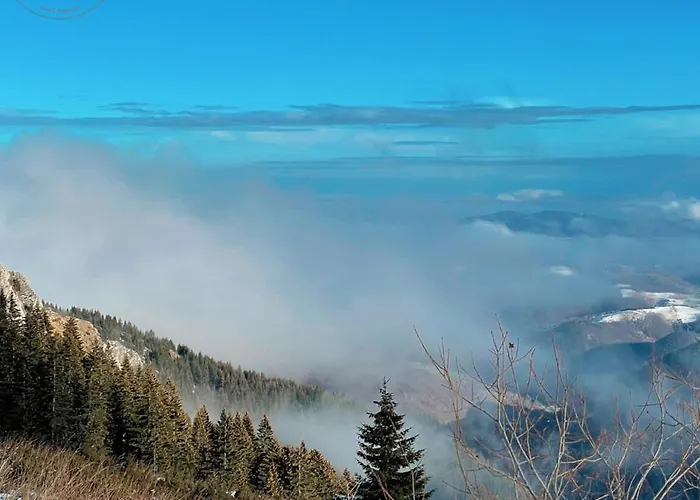 Διαμέρισμα & In Zoned