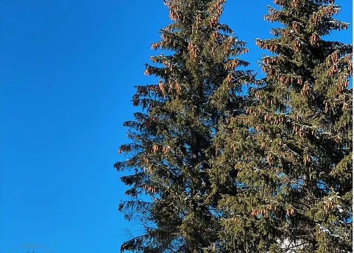 & In Zoned Κοπαόνικ